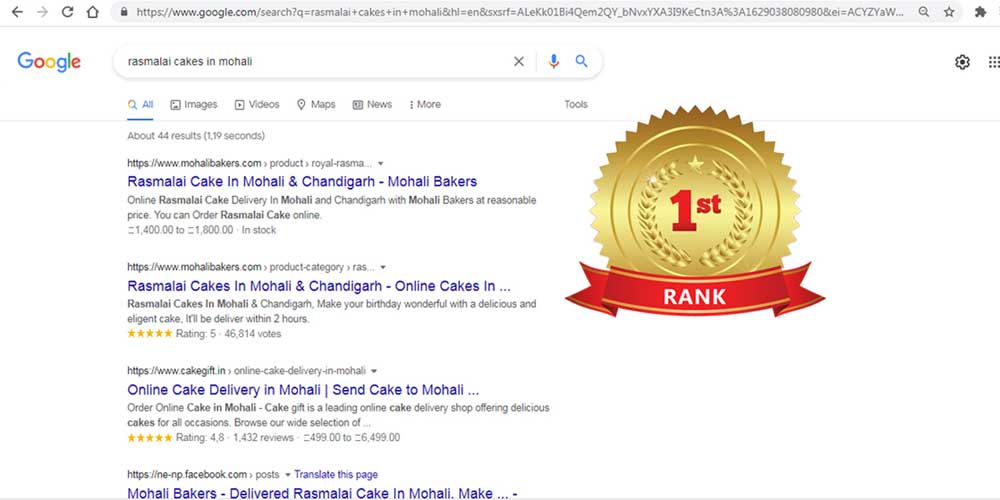 Website Designing Services Ranking